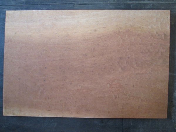 Einteiler Mahagoni Sapeli Pommele Decke Top 55x35,5x1,8cm Nr 89